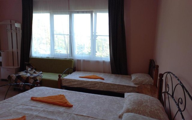 Inzhir Guest house