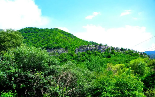 Guest House ECO OldIjevan - фото 2