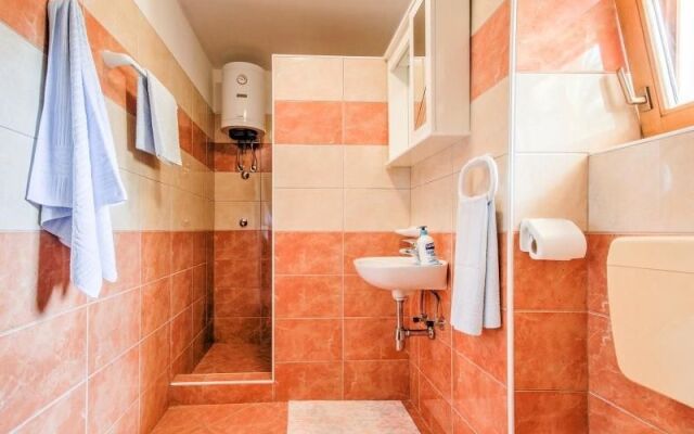 Apartments Predrag