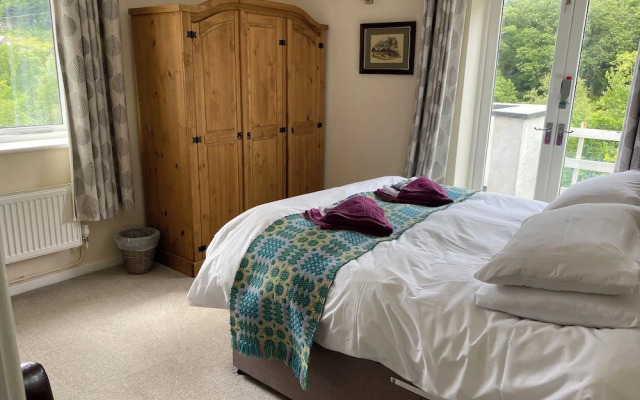 Plas Penaeldroch Manor