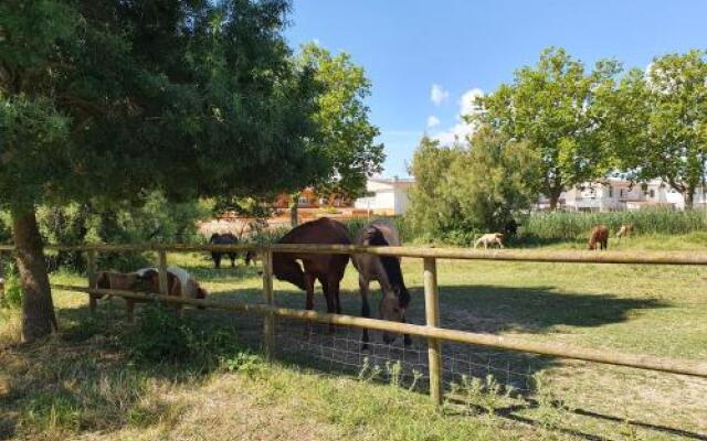 Ampuries Delta Apartment