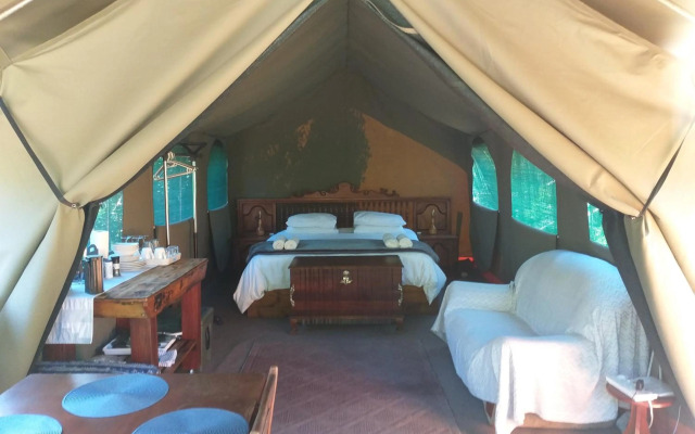 Forest Edge Glamping