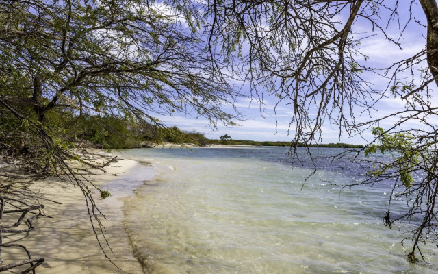 Sava Salinas
