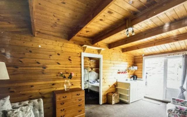 Beautiful 1-bed Secluded Cabin, With bar & Fire
