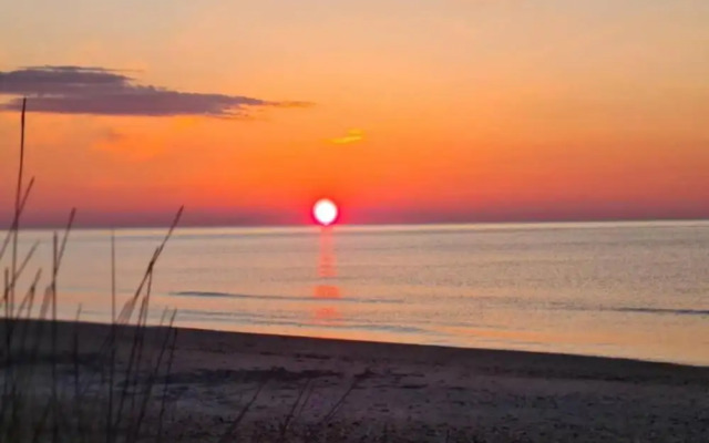 Peaceful Beachside Escape