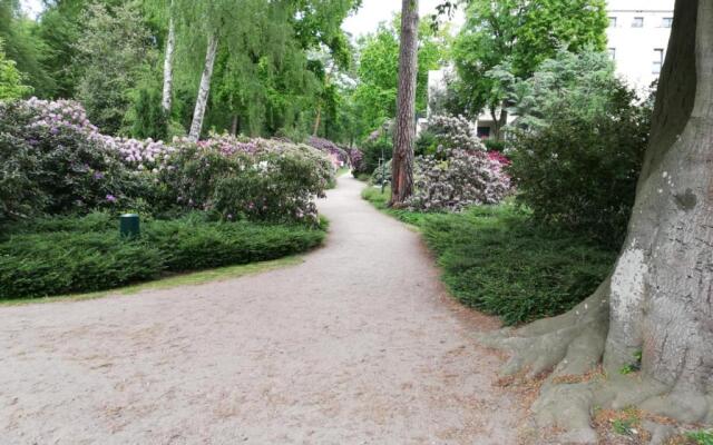 nagelneue Fewo mit Waldblick 10min zur See Igelring21og