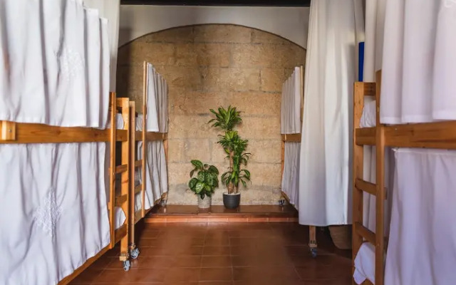 Ashavana Nest Hostel