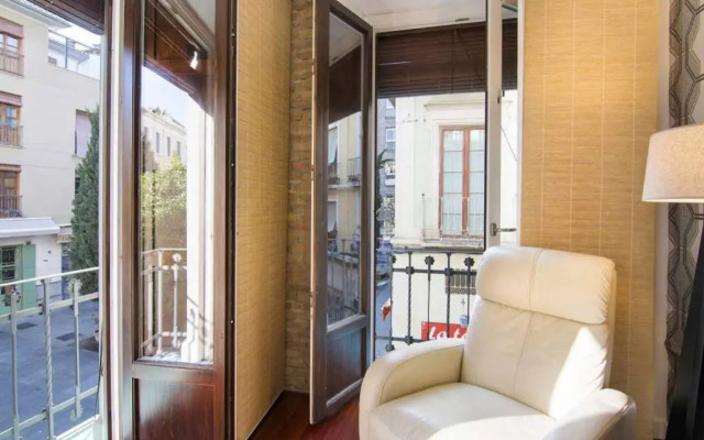 ECO CENTER GRANATENSIS CATEDRAL 2 habitaciones free párking