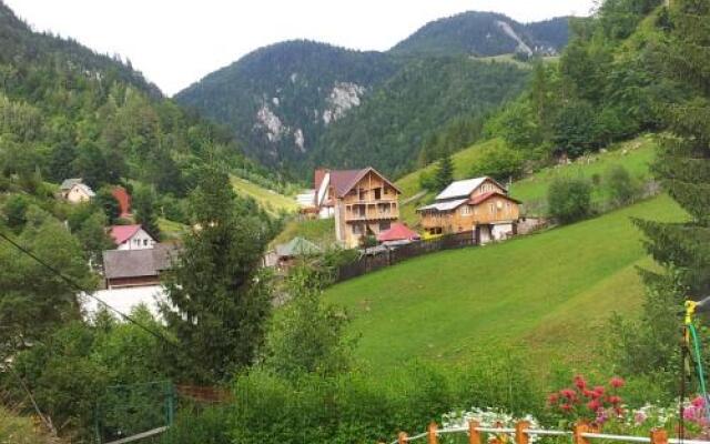 Cabana Suprema Armonie