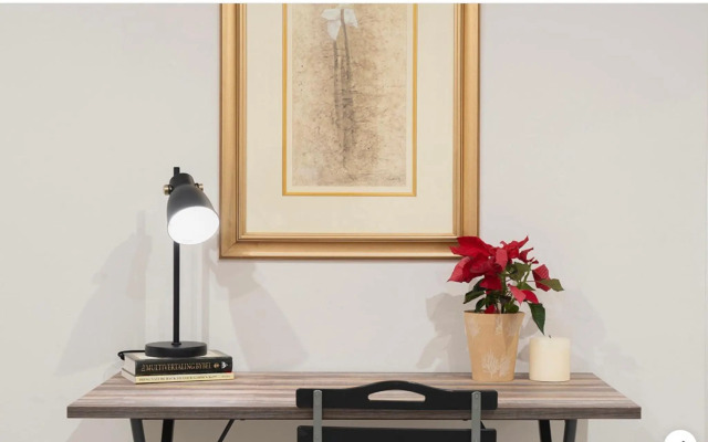 Rueby’s Apartment 101