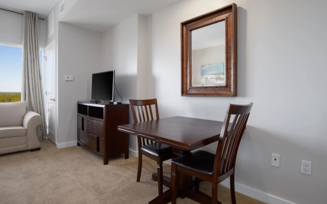 Luau I 7011 - flr10 - Studio 1BA - (4)