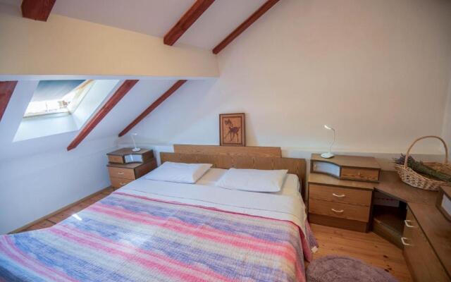 Apartment Jany