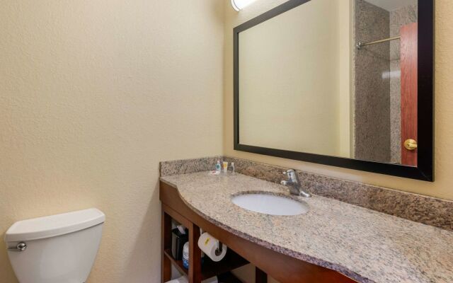 Comfort Inn & Suites St. Pete - Clearwater International Airport