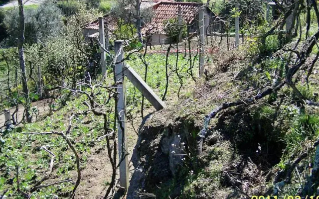 Villa Talas