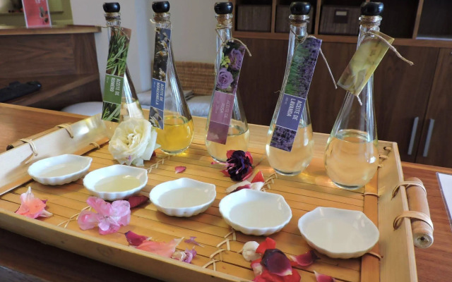 Son Caliu Apartamentos