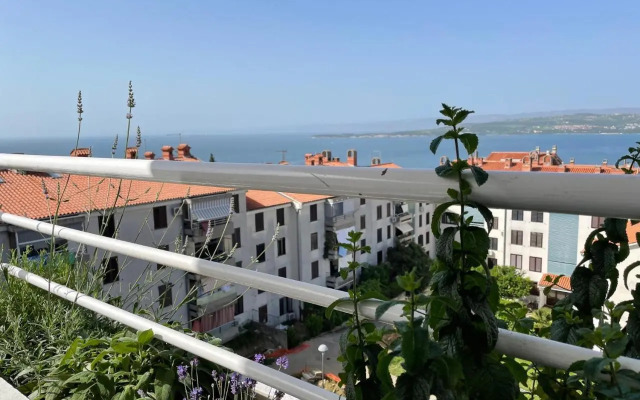 Family Home Koper