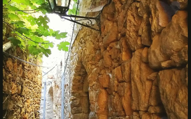 Mesta Mastic