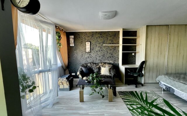 Relaxing and Calm Studio in Central Goleniow