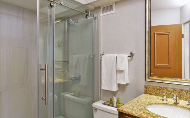 Hilton Chicago/Oak Lawn