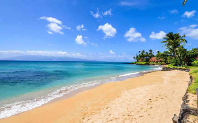 Hale Mahina A207