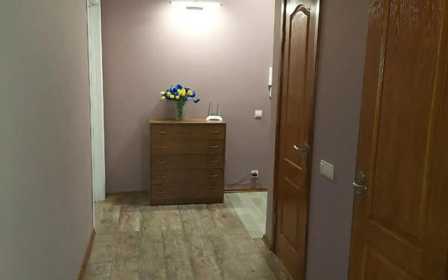 Apartment Sports Palace Просторная квартира рядом Дворец Спорта