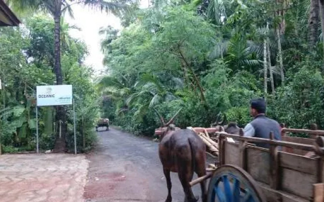 Oceanic Guest House