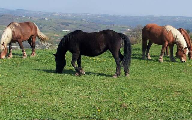 Ferme de la Bonnefontaine