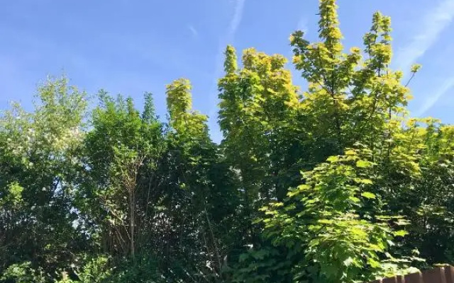 The Perfect Stay Belfast