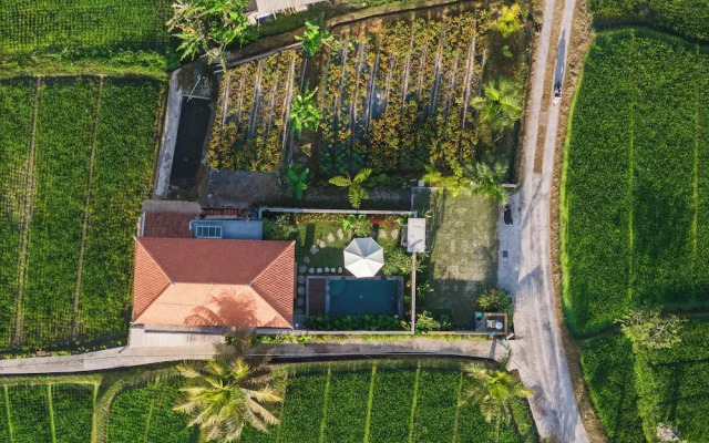 Wisana Villa Sebatu by Uniquecations