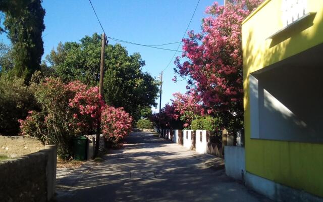 Apartment Midi - with two apartments: A2 Petrcane, Zadar riviera