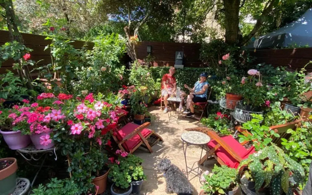 Georgiana's Guest House