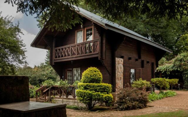Viewpoint - Cabin 3
