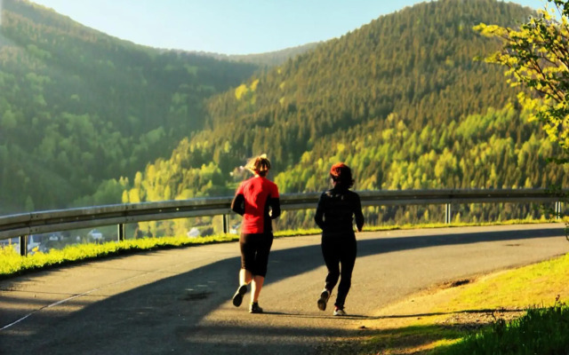 Ferienhotel Mühlleithen