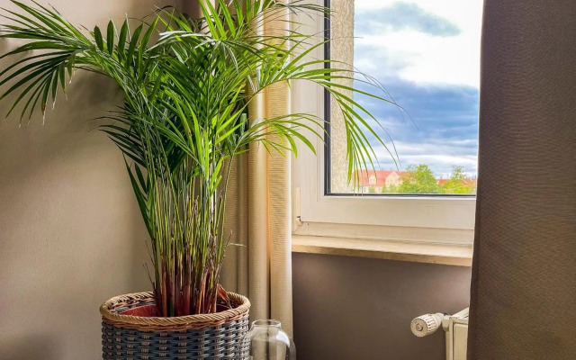 Prorsus Design Apartments