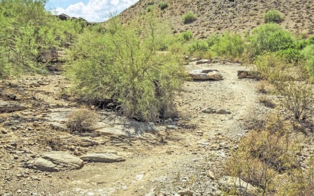 Raintrees Desert Arroyo