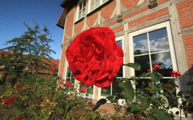 Flair Seehotel Zielow