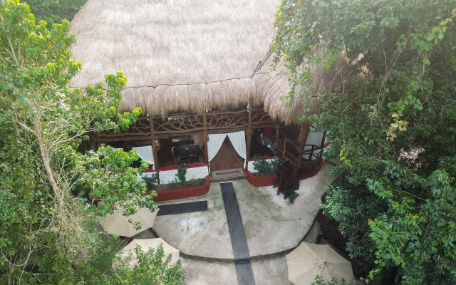 Jolie Jungle Eco Hotel