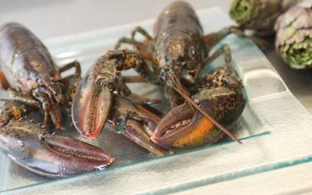 Domaine Du Haut Vent