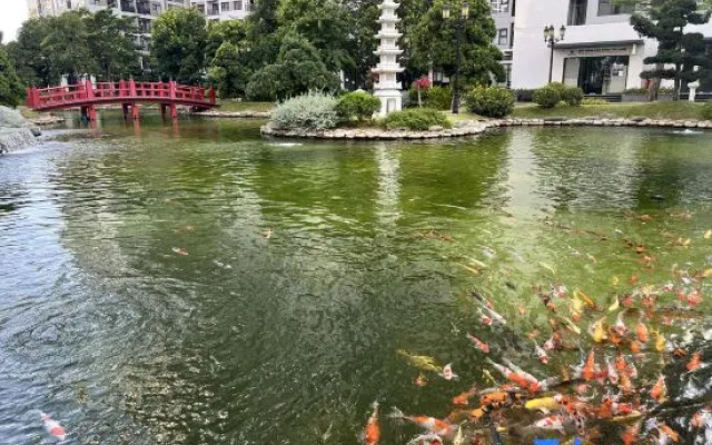 Vinhone Grand Park Homestay - ZEN Garden Residence