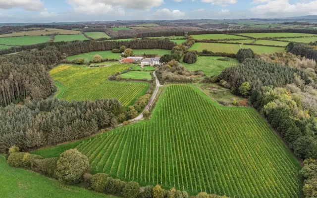 Tregoninny Vineyard and Woodland Farmhouse