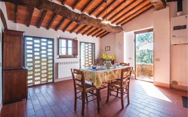 Schivanoia 3