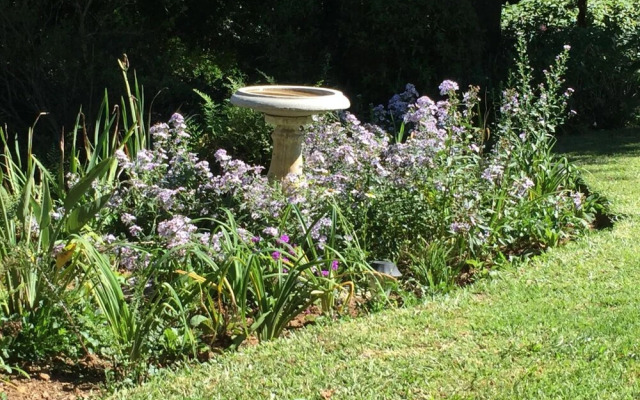 King's Hill Bed and Breakfast