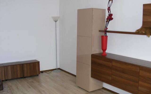 Apartment Toma Garii