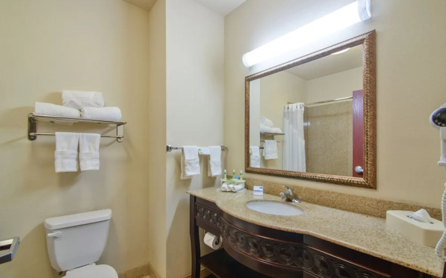 Holiday Inn Express Hotel Suites Terrell