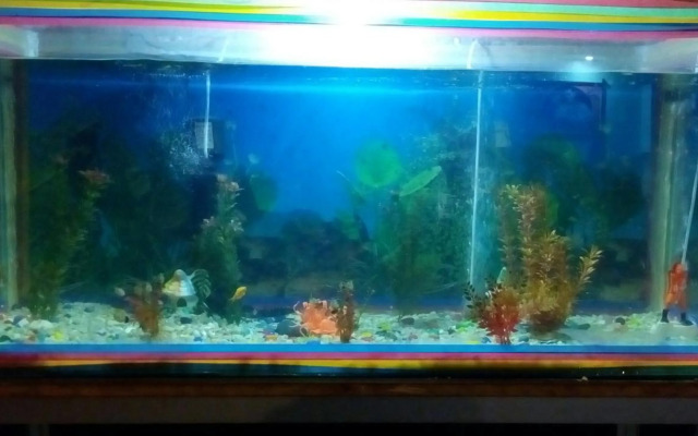 Centennial Hotel 2008