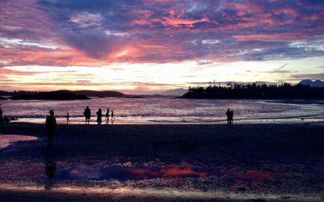 Cobble Wood & Bird Sanctuary Guest Houses