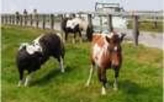 Utsukushigahara Kogen Hotel Yamamoto Goya