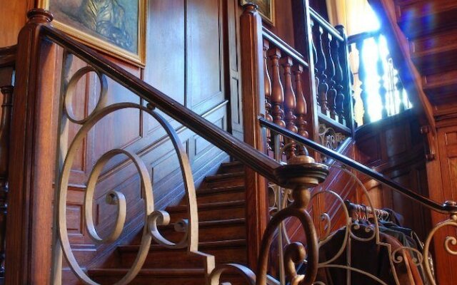 Rosa Enia Studio N 3