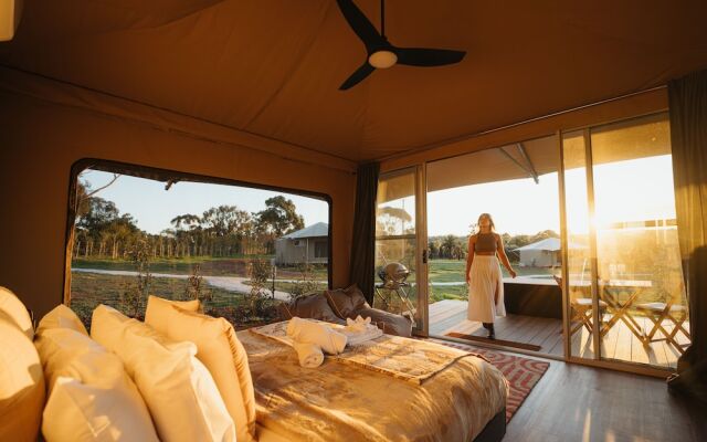 CANVS by CABN Seppeltsfield Barossa