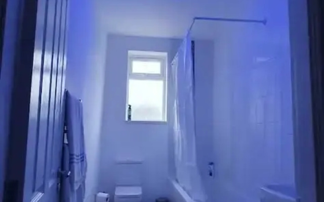 Fantastic New Room-1